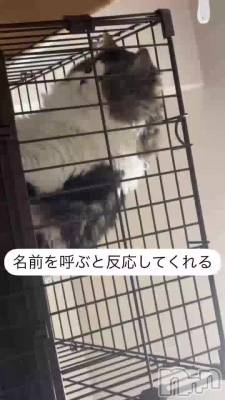 㤯㿩٤