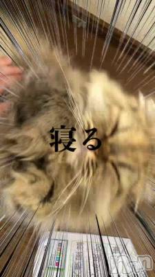 ŷ̲äƤ