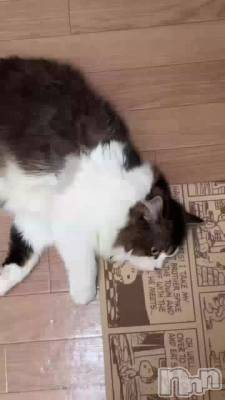 ޤäƤ😿ᩚꔛ♥
