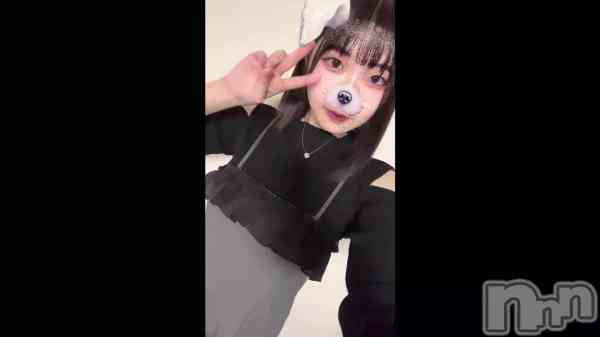 ֡NEW&#x1F404;&#x2E12;&#x2E12;