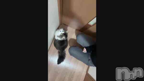 �ְ�ŷ�������ɥӥ󥴺ǽ����ԤäƤޤ�‼️��