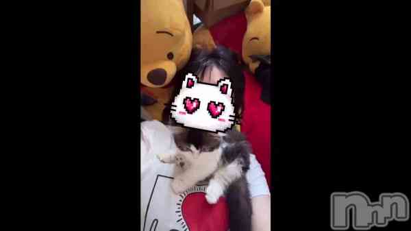 ֡¤Ȥ㤦&#x1F431;