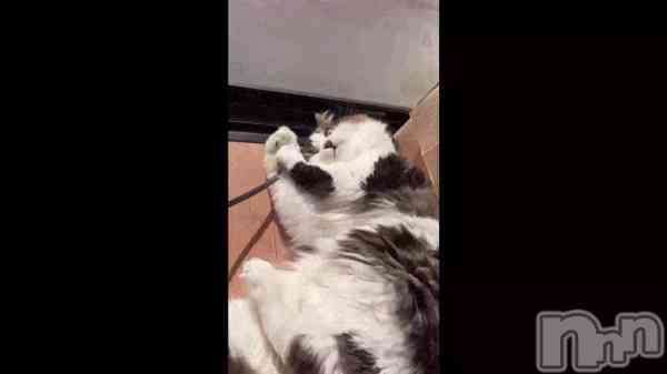 ֡ŷˤ&#x1F43E;&#xECA;