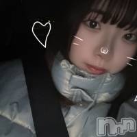 ʥå륺С Snack amie(ʥå ) ʥĤβ(3)