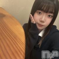 ʥå륺С Snack amie(ʥå ) ʥĤβ(2)