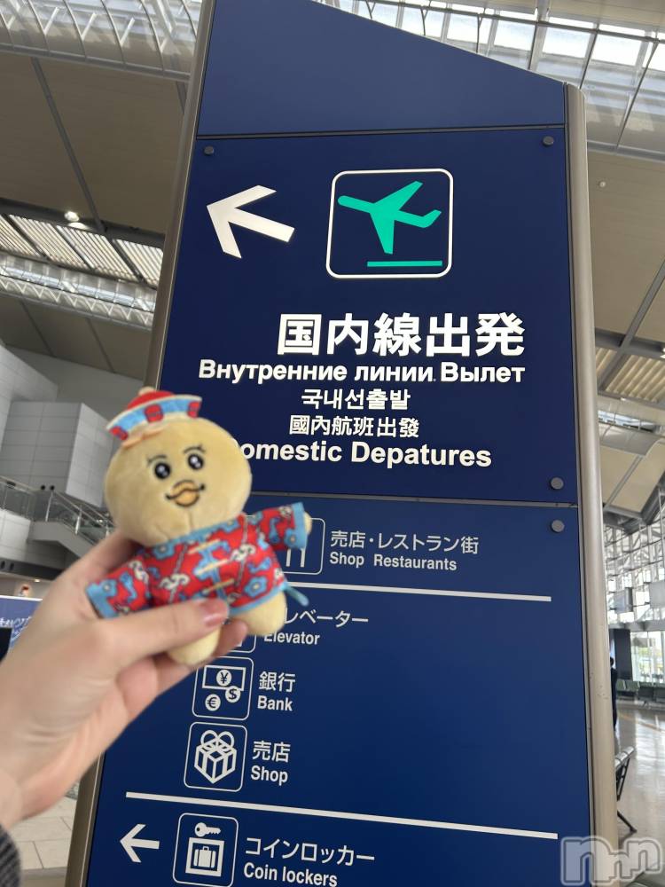 Įʥå륺СSnack  Minerva(ʥåߥͥ) (ޥ) ε Ĥ115̥֥ʡ