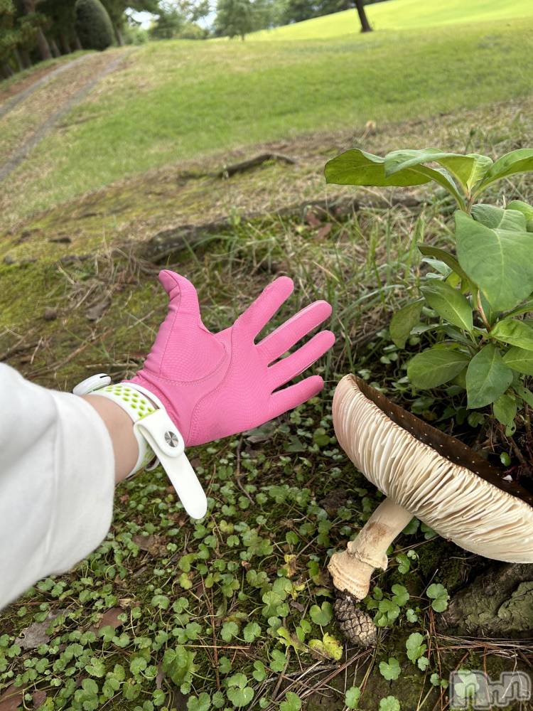 Įʥå륺СSnack  Minerva(ʥåߥͥ) (ޥ) ε Ĥ118̥֥֤ɤǤ