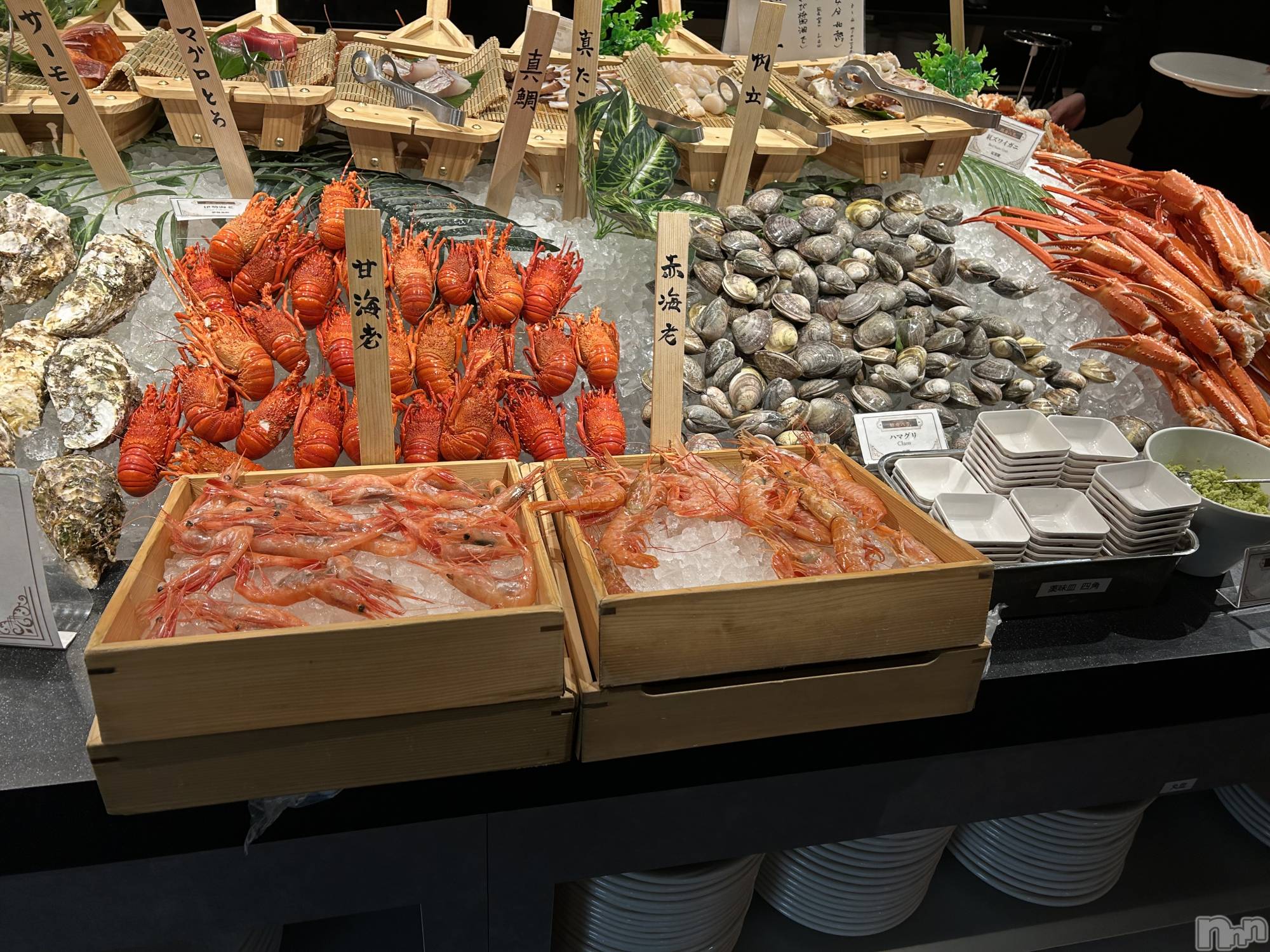 Įʥå륺СSnack  Minerva(ʥåߥͥ) 2025ǯ221̥֥֥ӥåե