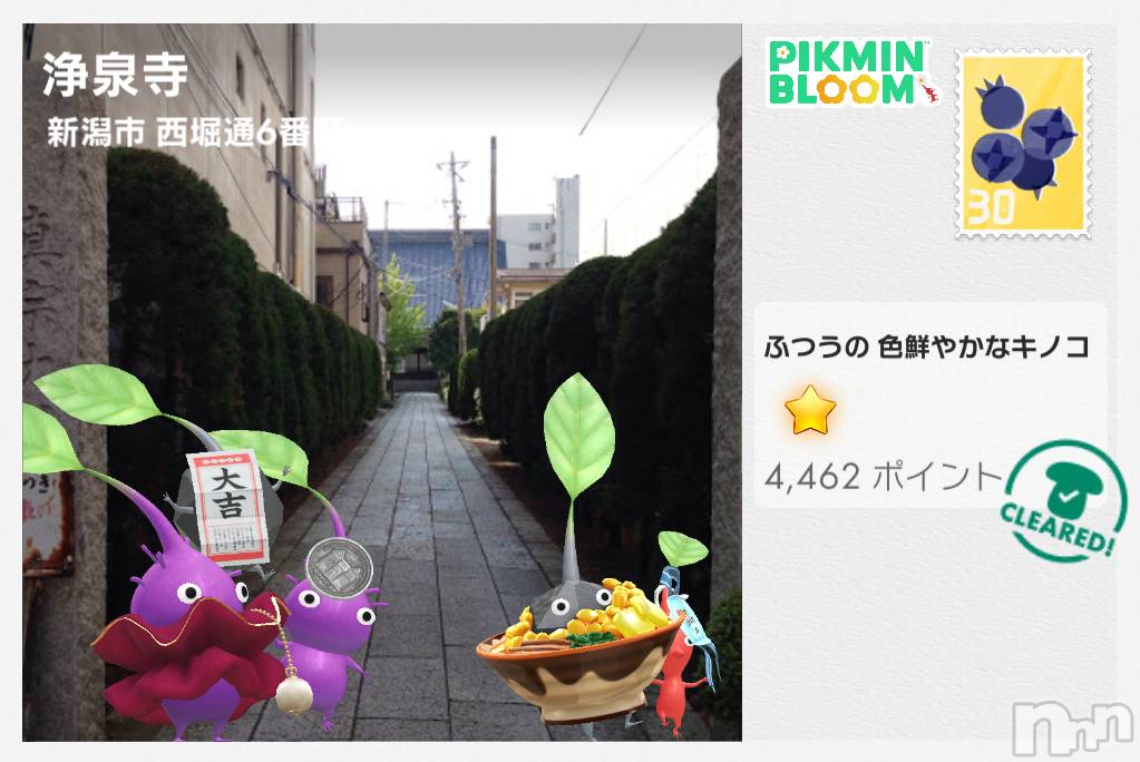 Įʥå륺СSnack  Minerva(ʥåߥͥ) 2025ǯ59̥֥⤭ޤޥꥹƥ