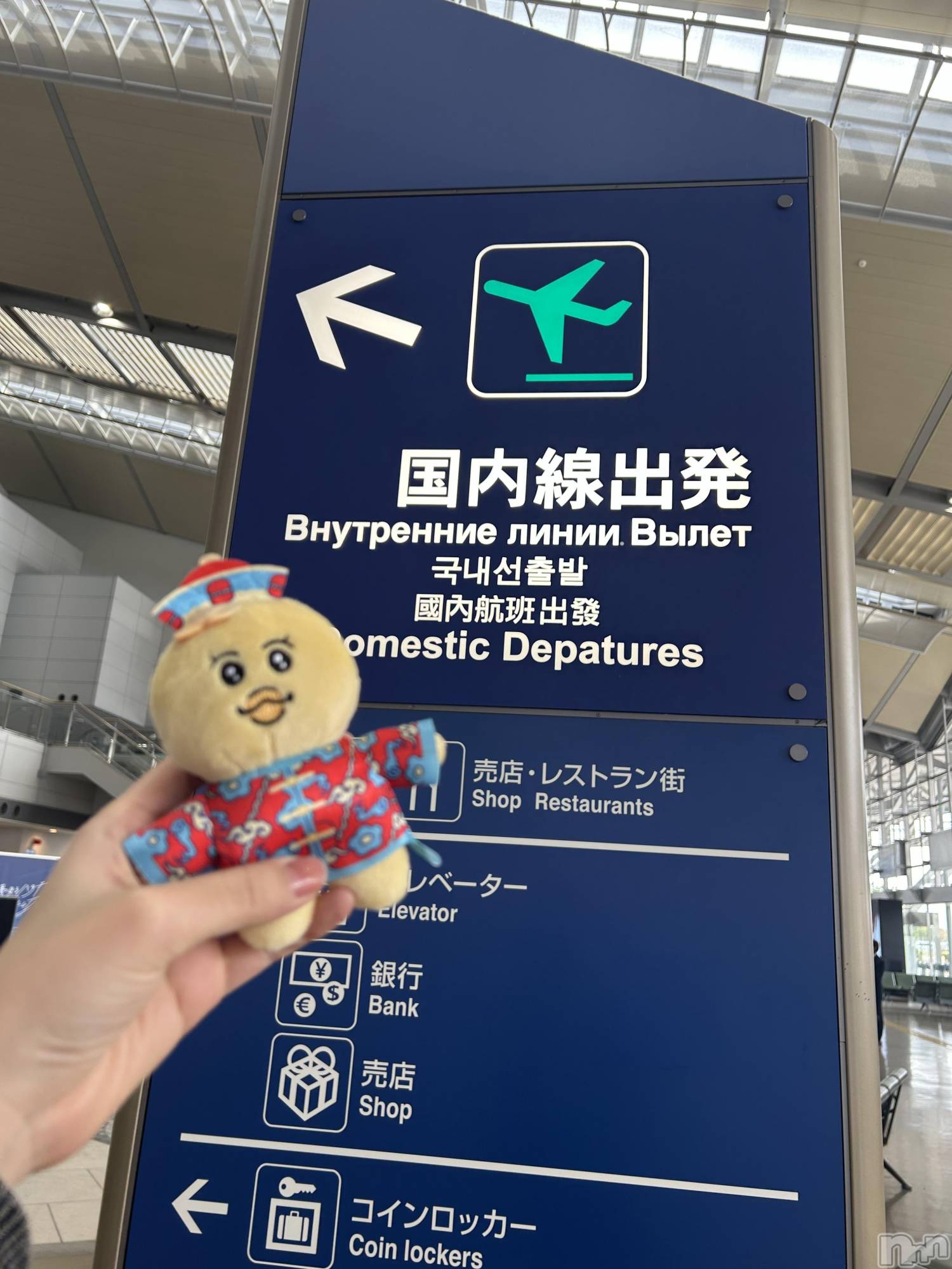 Įʥå륺СSnack  Minerva(ʥåߥͥ) 2025ǯ115̥֥ʡ