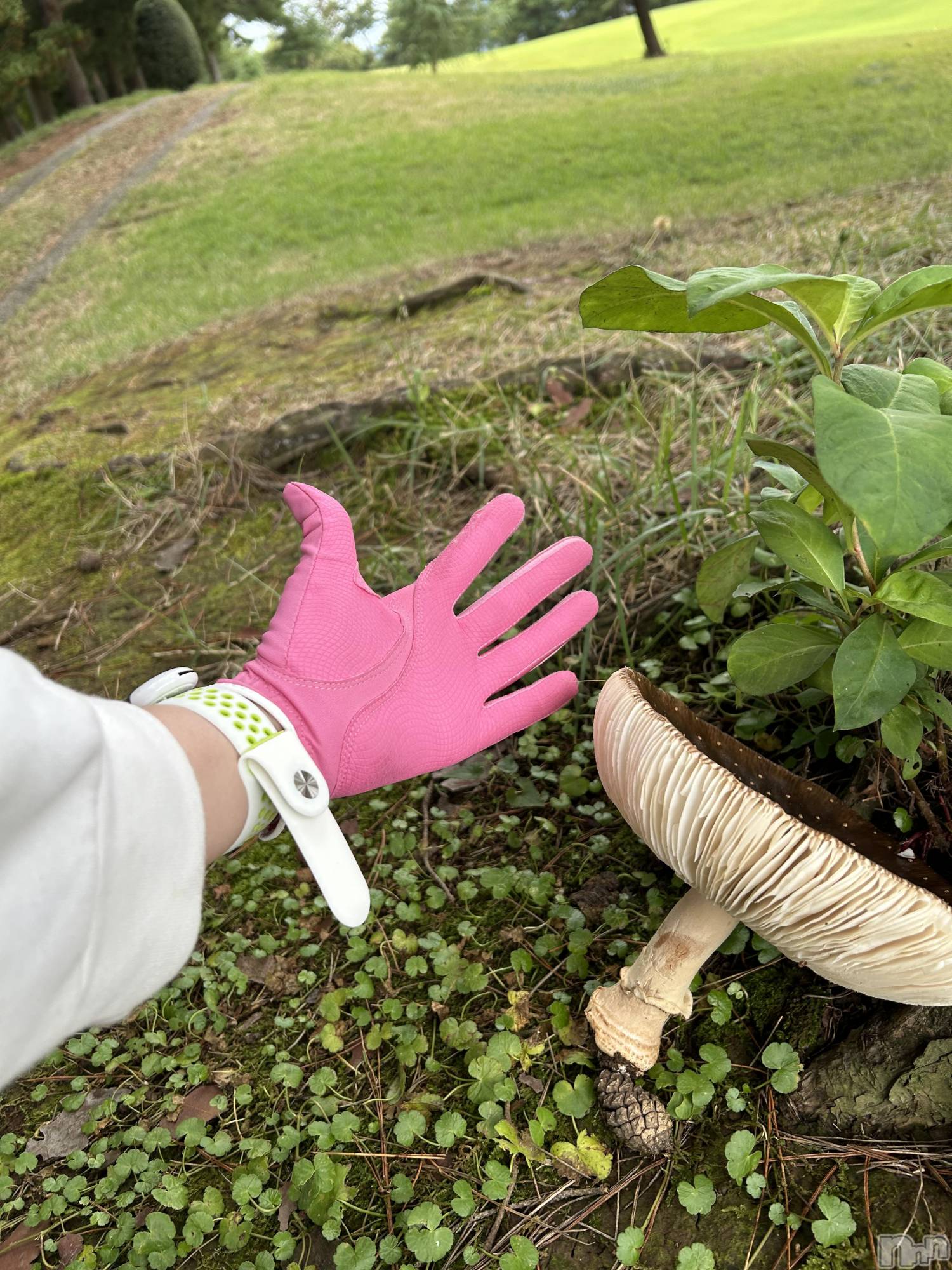 Įʥå륺СSnack  Minerva(ʥåߥͥ) 2025ǯ118̥֥֤ɤǤ