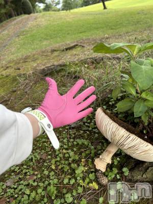 Įʥå륺СSnack  Minerva(ʥåߥͥ) (ޥ) ε Ĥ118̥֥֤ɤǤ