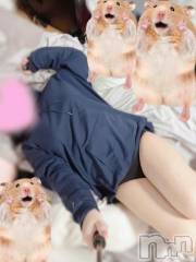 新潟デリヘル新潟人妻デリバリーヘルス 下心 ～したごころ～(シタゴコロ) 葉月(はづき)奥様(40)の7月16日写メブログ「お相手してくださったお兄さん ありがとうございました！」