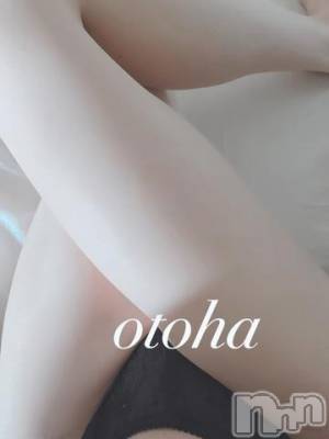 新潟デリヘル Minx(ミンクス) 乙葉【体験】(26)の3月23日写メブログ「おはようございます🐰☀️」