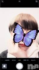 新潟デリヘル熟女の風俗 最終章(ジュクジョノフウゾクサイシュウショウ) あさか(43)の1月19日写メブログ「昨日(⁎⁍̴̛ᴗ⁍̴̛⁎)💕」