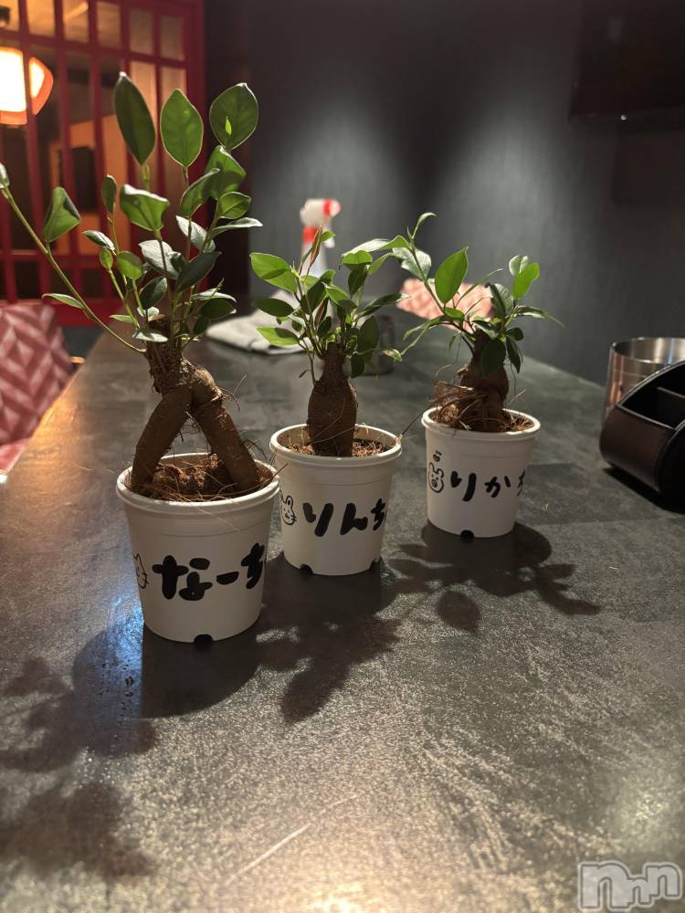 ��Ʋ���ʥå��������륺�С�LOUNGE ICHI ������(�饦�󥸥���) ����ʤ�ߤ�5��31���̥�֥�����🌳🌳🌳��