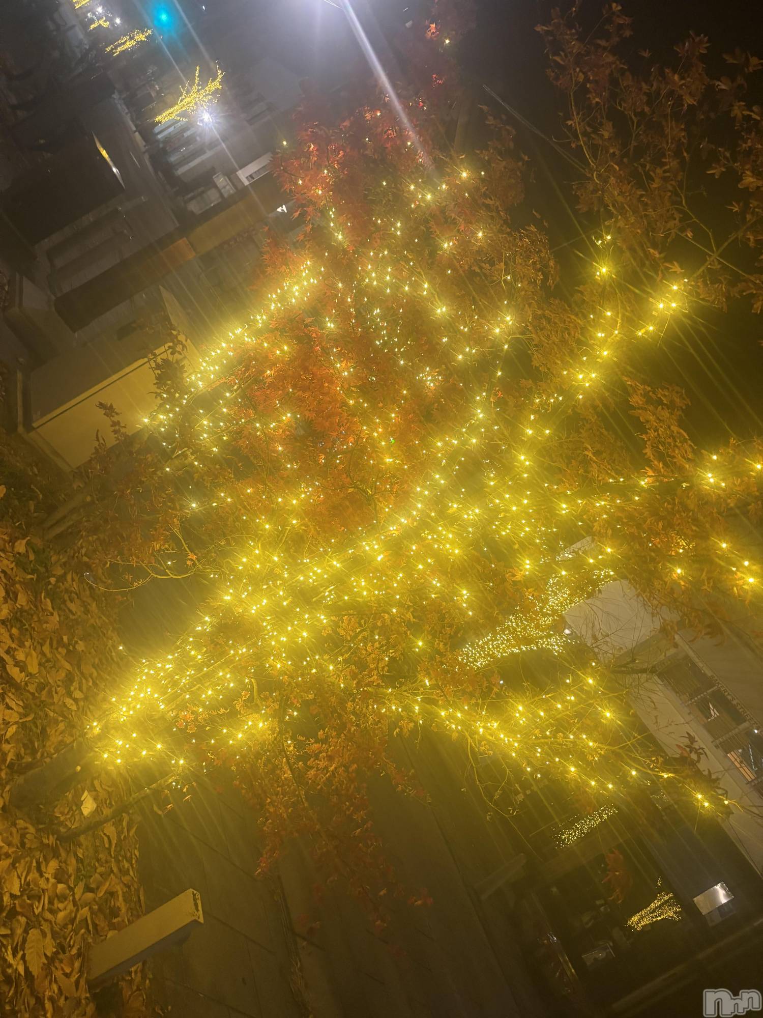 Ʋʥå륺СLOUNGE ICHI (饦󥸥) 2025ǯ1128̥֥🍻