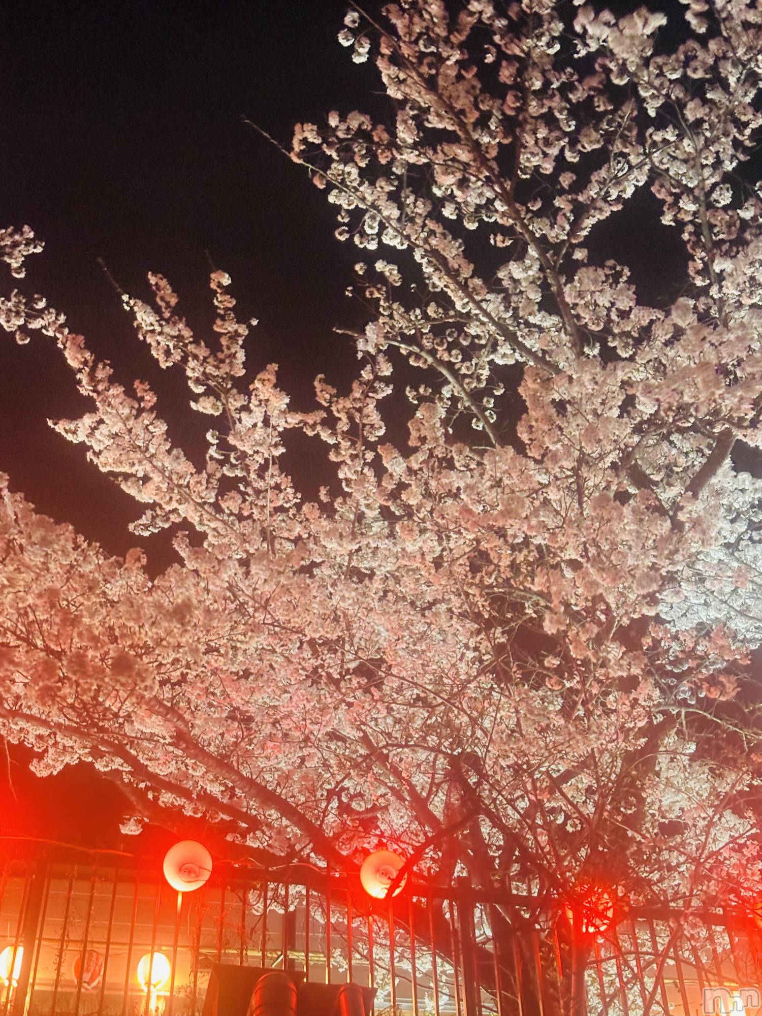 ��Ʋ���ʥå��������륺�С�LOUNGE ICHI ������(�饦�󥸥���) ��2026ǯ4��16���̥�֥�����🌸🍶��