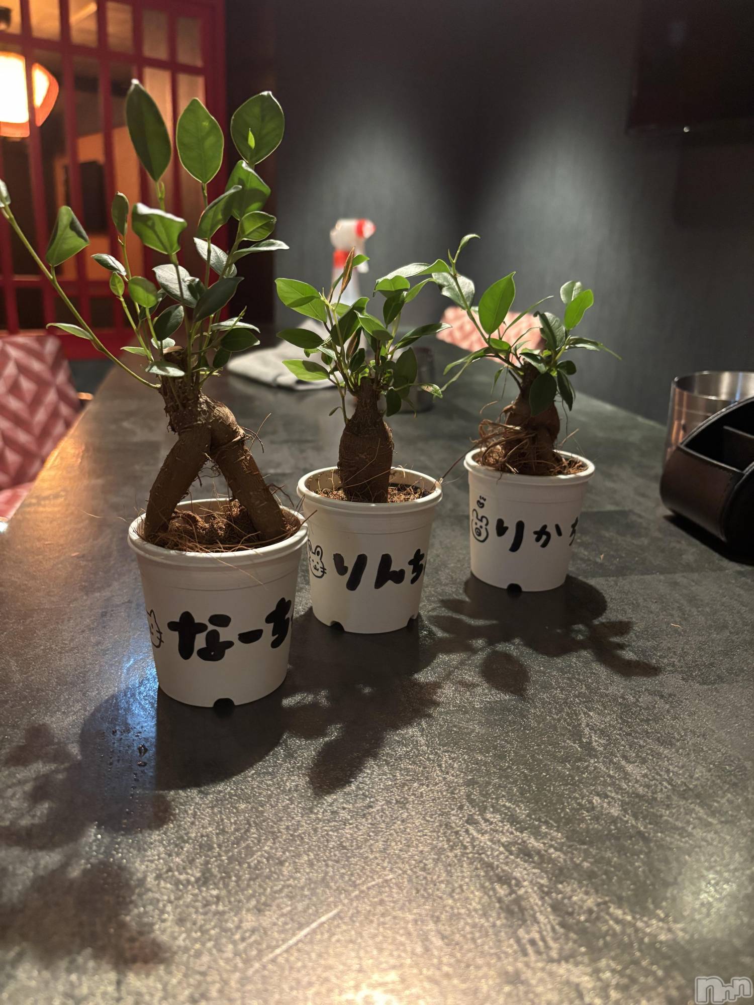 ��Ʋ���ʥå��������륺�С�LOUNGE ICHI ������(�饦�󥸥���) ��2026ǯ5��31���̥�֥�����🌳🌳🌳��