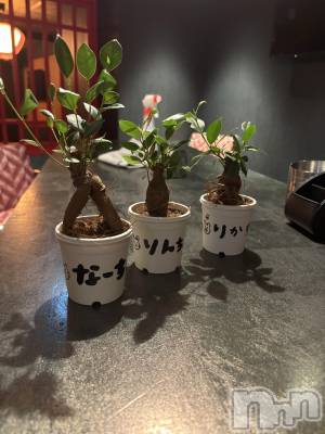 ��Ʋ���ʥå��������륺�С�LOUNGE ICHI ������(�饦�󥸥���) ����ʤ�ߤ�5��31���̥�֥�����🌳🌳🌳��