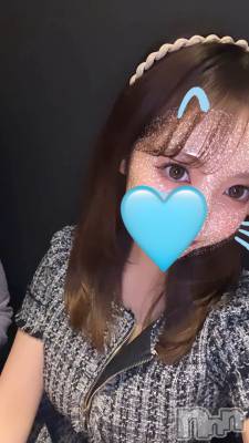 ҥ(ҥߥ) Ĺ152cmХ顦 Lune LYNX(롼󥯥)ҡ