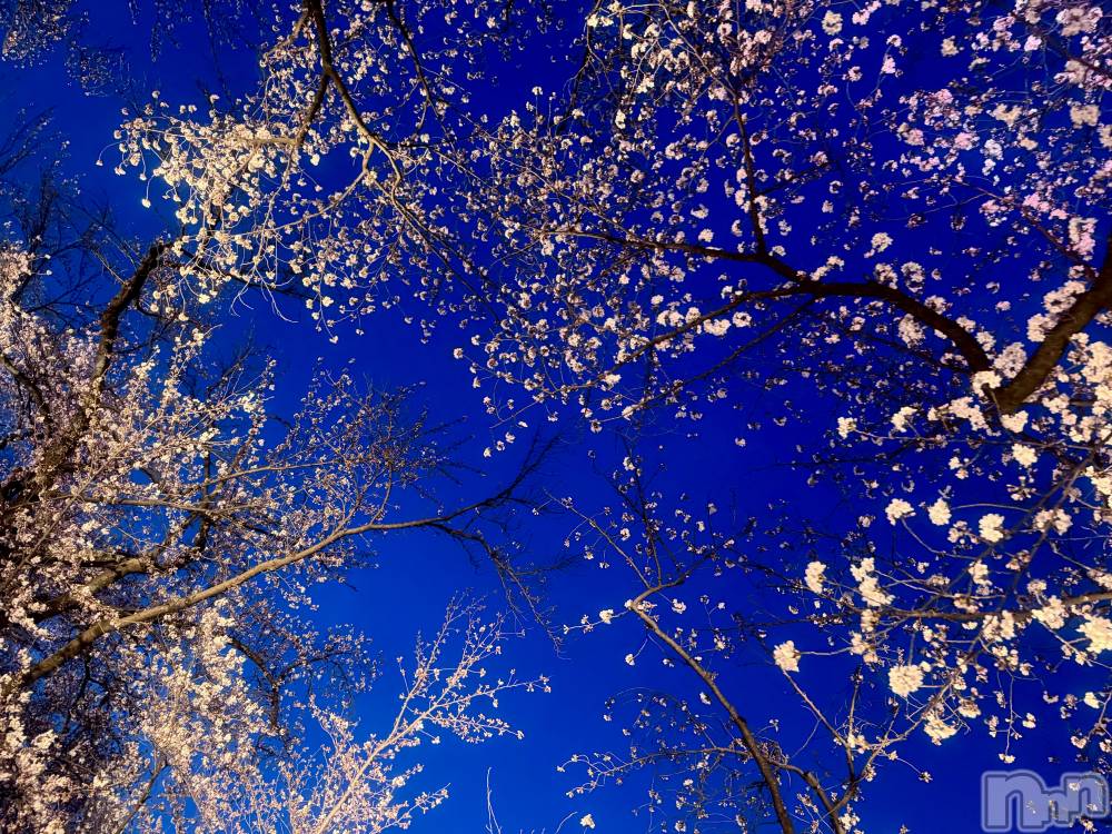 ���ץ���Х��顦�����CLUB BOSS(����� �ܥ�) �ߤ���4��19���̥�֥�����🌸��