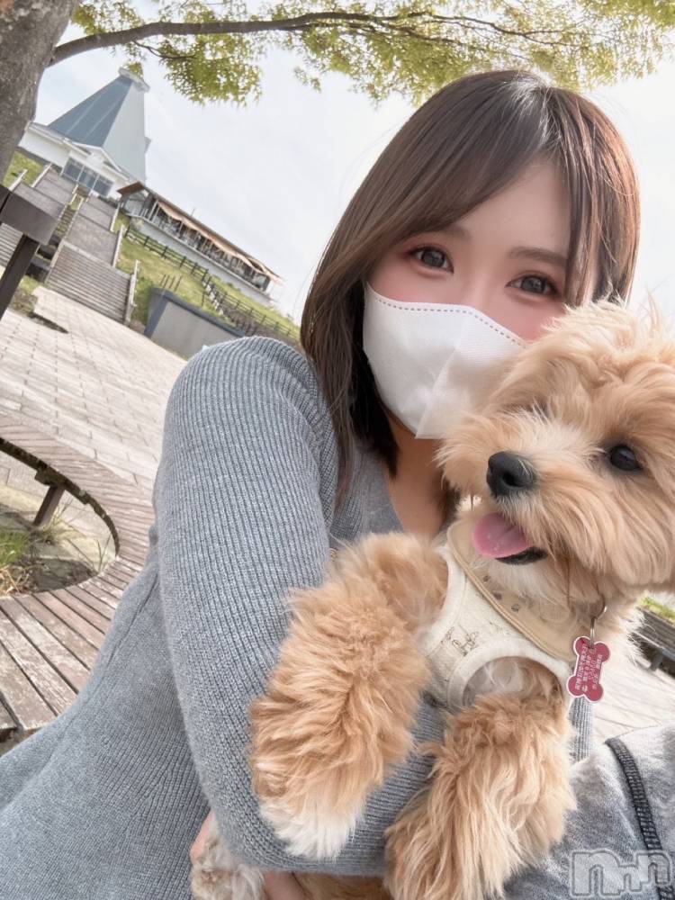 ���ץ���Х��顦�����CLUB BOSS(����� �ܥ�) �ߤ���4��26���̥�֥�����🐶��