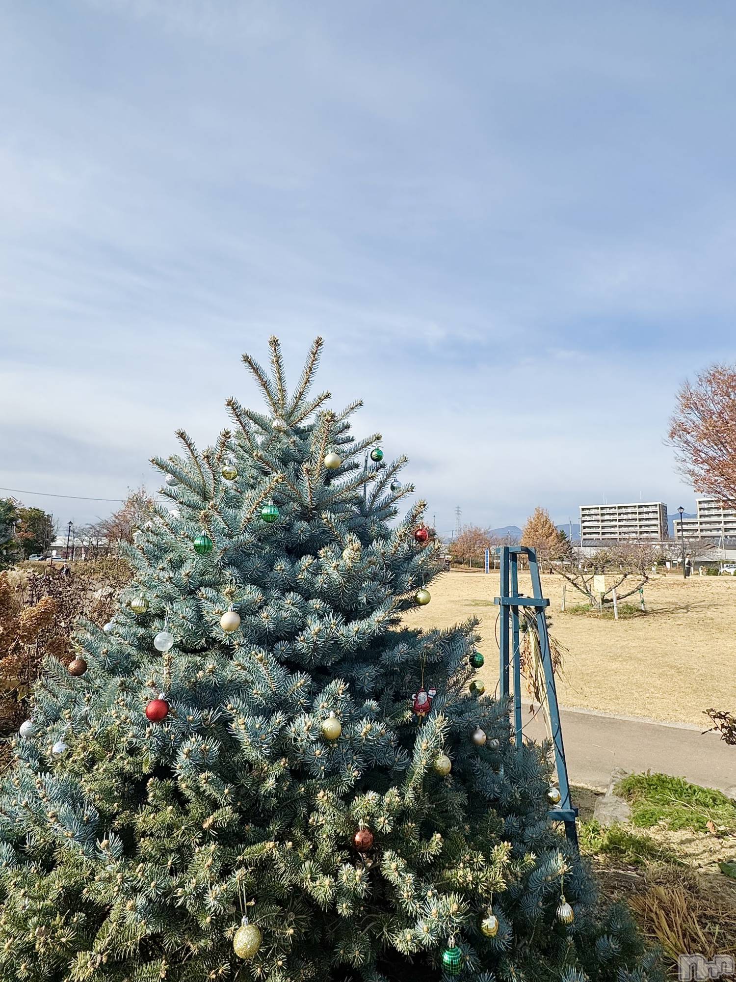 ץХ顦CLUB BOSS( ܥ) 2025ǯ1126ֺ̥֥жФƤޤ🎄*⋆