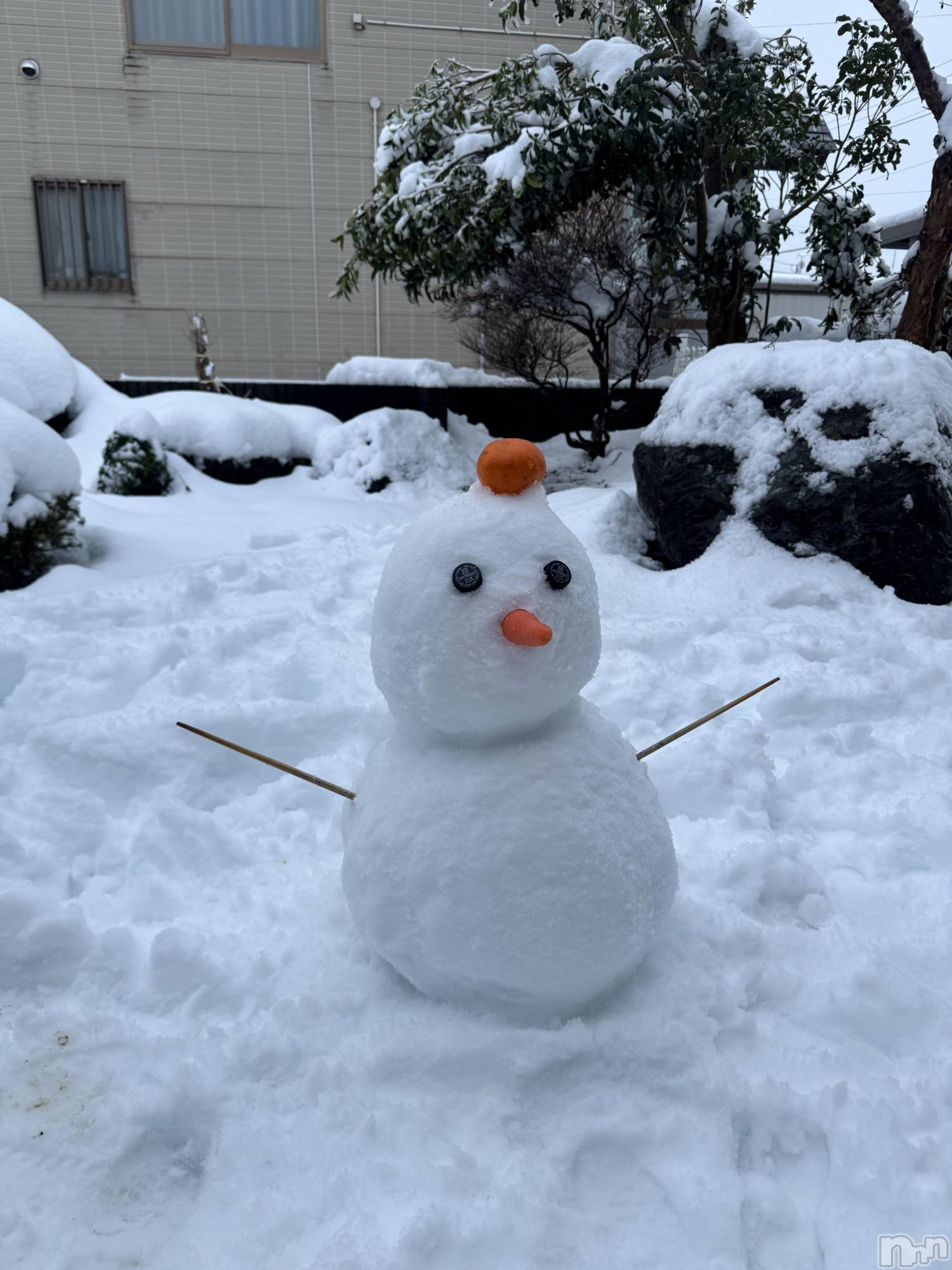 ���ץ���Х��顦�����CLUB BOSS(����� �ܥ�) ��2026ǯ1��2���̥�֥����������޺��ޤ���⛄️��