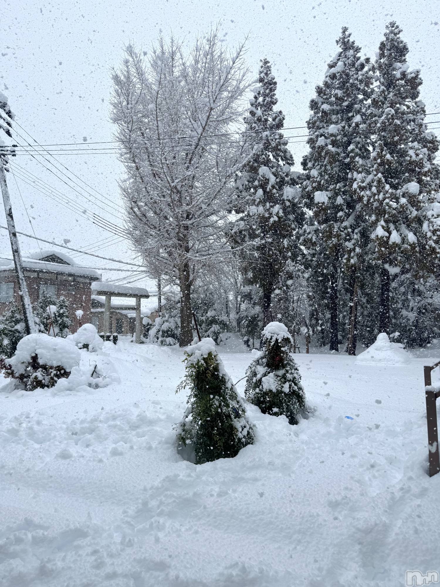 ���ץ���Х��顦�����CLUB BOSS(����� �ܥ�) ��2026ǯ1��3���̥�֥������㤬������⛄️��