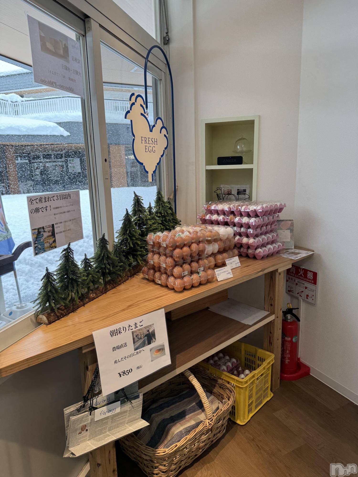 ���ץ���Х��顦�����CLUB BOSS(����� �ܥ�) ��2026ǯ1��4���̥�֥����֤��Ǥ���🥚��