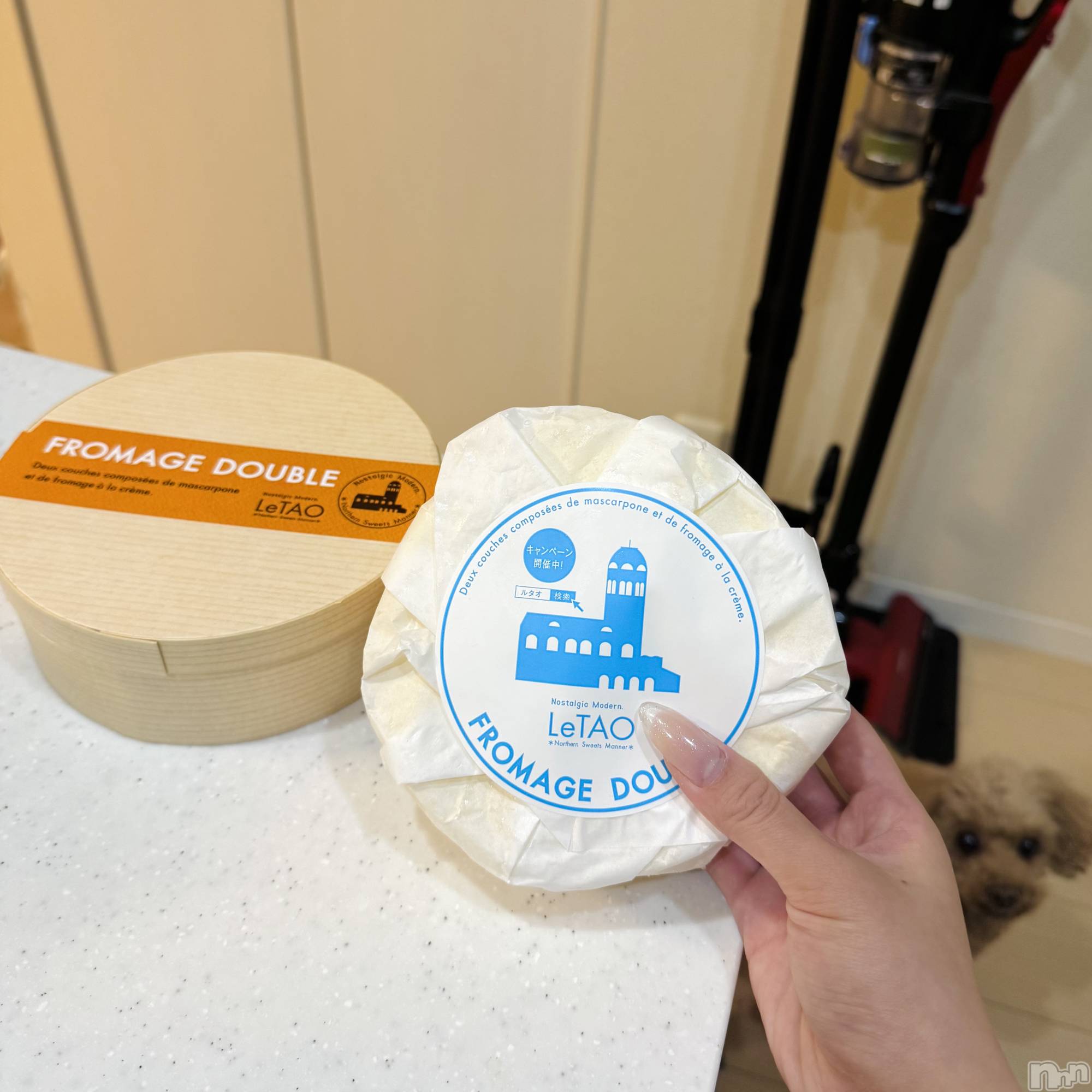 ���ץ���Х��顦�����CLUB BOSS(����� �ܥ�) ��2026ǯ2��28���̥�֥�����LeTAO 🧀��