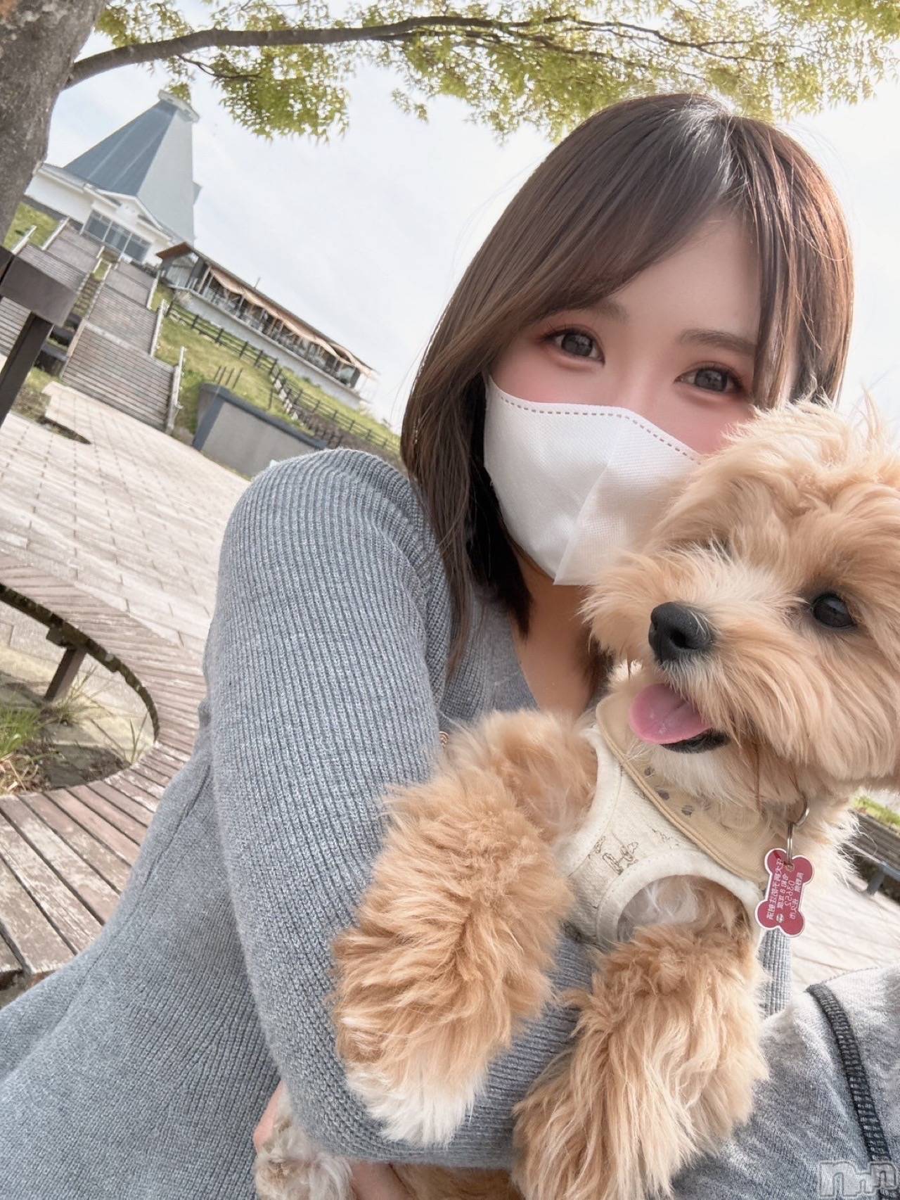 ���ץ���Х��顦�����CLUB BOSS(����� �ܥ�) ��2026ǯ4��26���̥�֥�����🐶��