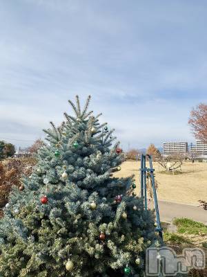 ץХ顦CLUB BOSS( ܥ) ߤ1126ֺ̥֥жФƤޤ🎄*⋆