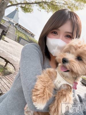 ���ץ���Х��顦�����CLUB BOSS(����� �ܥ�) �ߤ���4��26���̥�֥�����🐶��