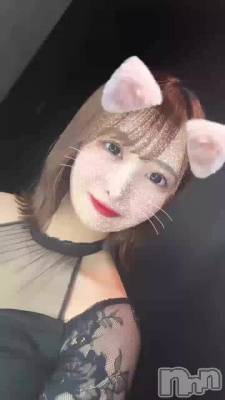 �����Ϥ��䤹�ߤǤ�🌷