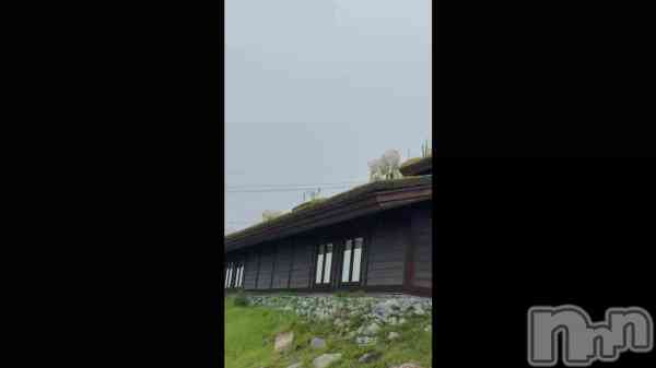 �֤Τɤ�🐐��