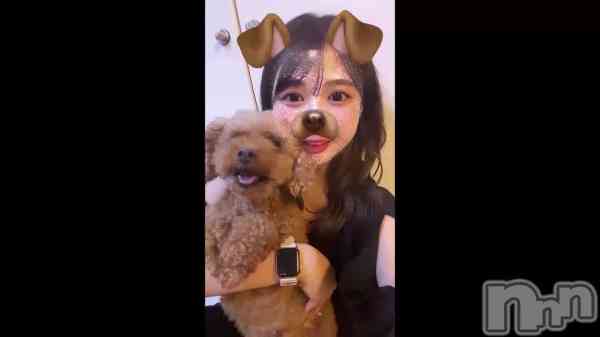 ��🐶❤️��