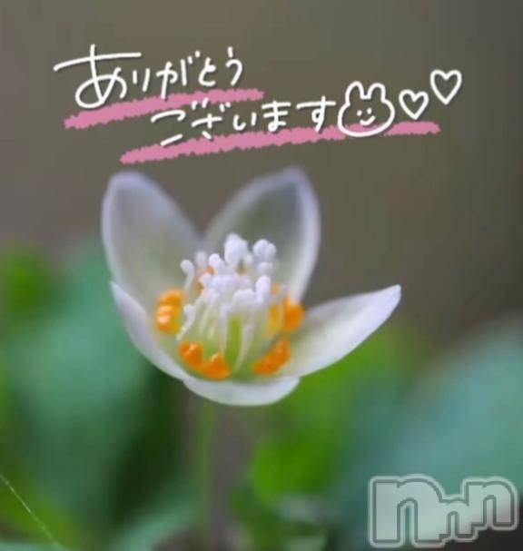 佐久発デリヘル佐久上田人妻隊(サクウエダヒトヅマタイ) あやめ(43)の1月27日写メブログ「エロエロ❤(ӦｖӦ｡)たまにはいいでしょ💕」