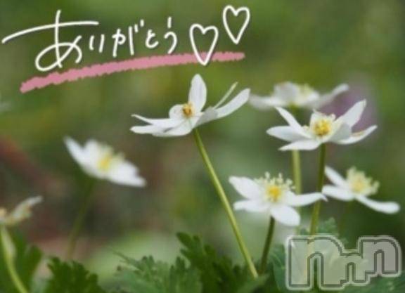 佐久発デリヘル佐久上田人妻隊(サクウエダヒトヅマタイ) あやめ(43)の3月7日写メブログ「キュン💕」