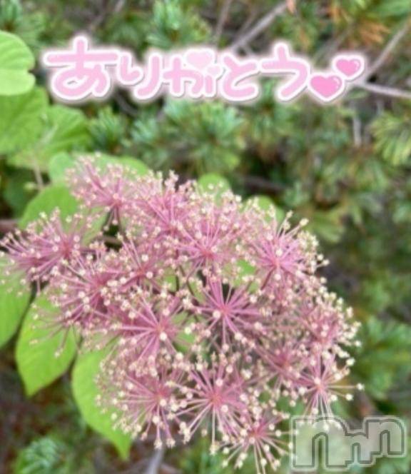 佐久発デリヘル佐久上田人妻隊(サクウエダヒトヅマタイ) あやめ(43)の3月15日写メブログ「素敵な一日に💕しましょう」