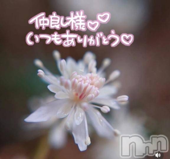 佐久発デリヘル佐久上田人妻隊(サクウエダヒトヅマタイ) あやめ(43)の3月20日写メブログ「ベットの中で💕ヌクヌクしませんか」