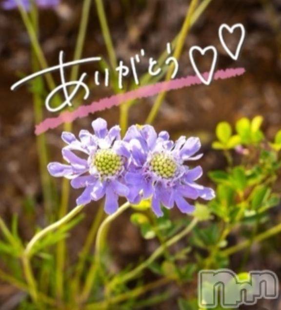 佐久発デリヘル佐久上田人妻隊(サクウエダヒトヅマタイ) あやめ(43)の3月25日写メブログ「みつけてくれて💕ありがとう」