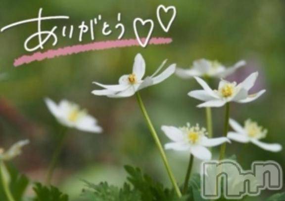 佐久発デリヘル佐久上田人妻隊(サクウエダヒトヅマタイ)あやめ(43)の2026年3月12日写メブログ「みつけてくれてありがとう💕」