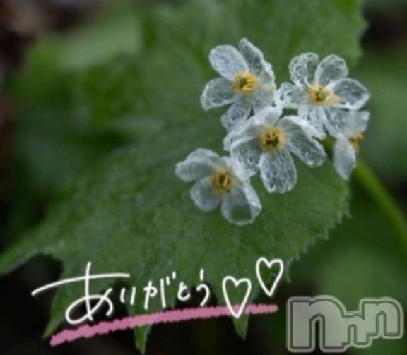 佐久発デリヘル佐久上田人妻隊(サクウエダヒトヅマタイ)あやめ(43)の2026年3月15日写メブログ「今日も💗ありがとう💗ね」