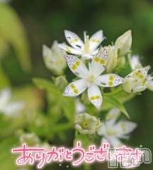 佐久発デリヘル佐久上田人妻隊(サクウエダヒトヅマタイ) あやめ(43)の2月19日写メブログ「胸♡きゅん.｡.:*♡」