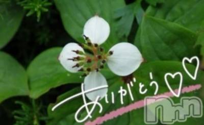 佐久発デリヘル 佐久上田人妻隊(サクウエダヒトヅマタイ) あやめ(43)の2月9日写メブログ「嬉しい💕楽しい💕ありがとう」