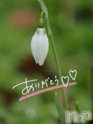 佐久発デリヘル 佐久上田人妻隊(サクウエダヒトヅマタイ) あやめ(43)の2月10日写メブログ「秘密の鏡の部屋」