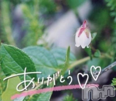 佐久発デリヘル 佐久上田人妻隊(サクウエダヒトヅマタイ) あやめ(43)の2月15日写メブログ「ジェラートの日💕」