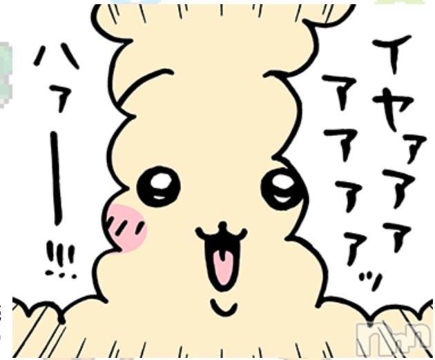 㡦ȯĥꥢ󥺥Ƥޤơ(ޥƥåȥ˥) ߤɤ112̥֥֥եȷޤޤ